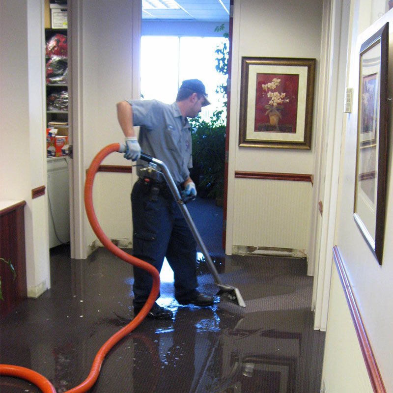 Water Removal Austell GA
